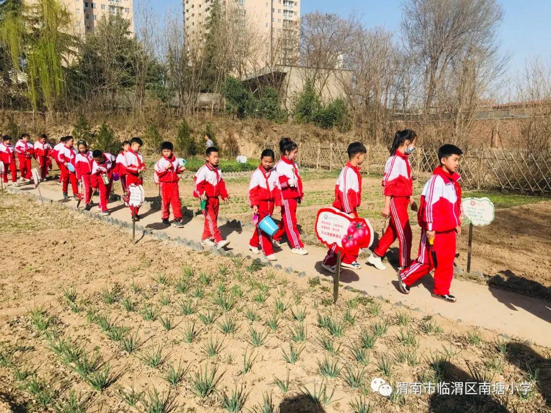 播种希望 向阳生长——南塘小学开展劳动教育实践活动