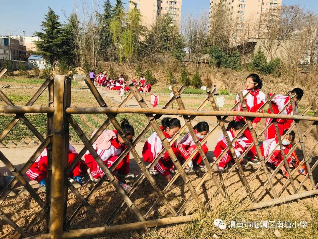播种希望 向阳生长——南塘小学开展劳动教育实践活动