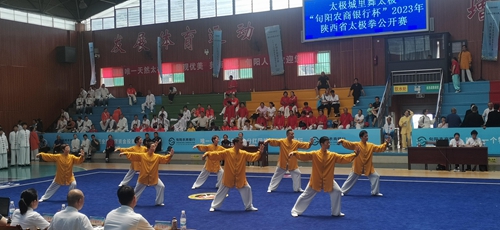 渭南市太极拳协会代表队在全省太极拳公开赛中成绩喜人