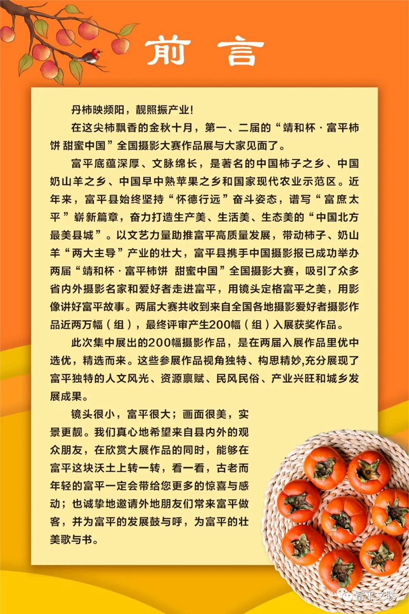 第二届“靖和杯·富平柿饼 甜蜜中国”全国摄影大赛作品展（二）