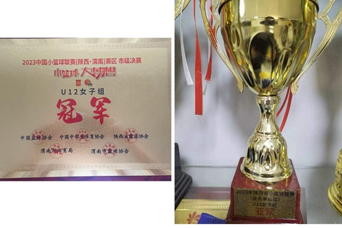 喜报！临渭区育红小学被命名为 “陕西省体育传统特色学校”